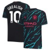 Original Fußballtrikot Manchester City Grealish 10 Ausweichtrikot 2023-24 Für Herren